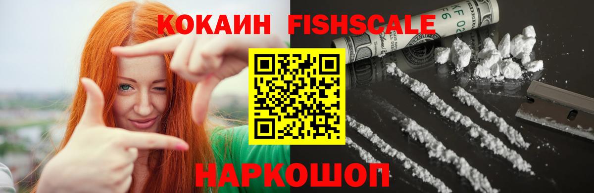 Кокаин Эквадор Камышин