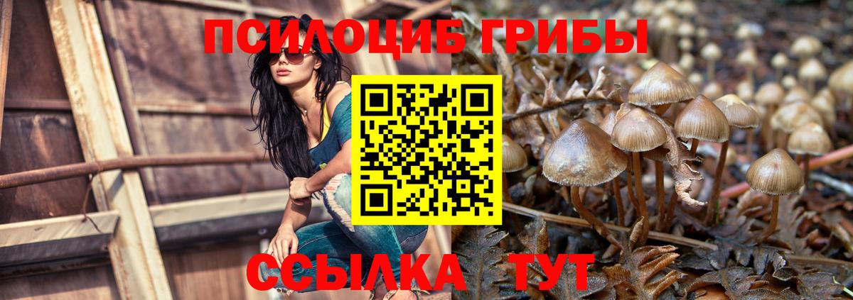 Галлюциногенные грибы мухоморы Камышин