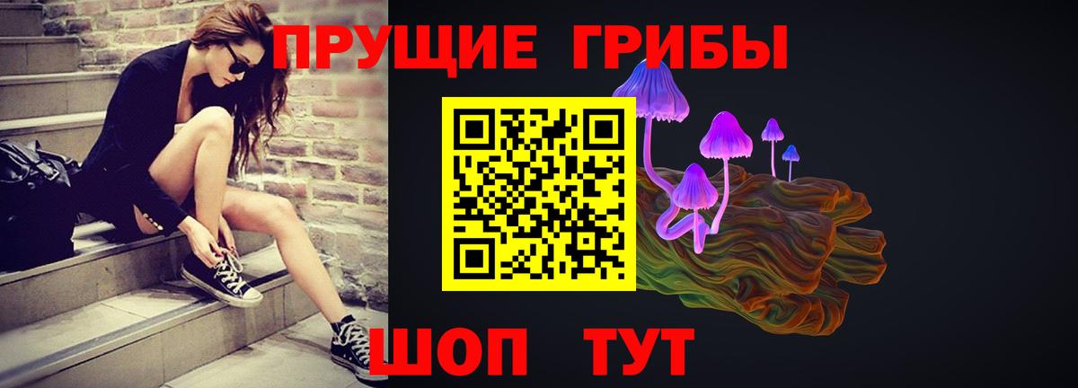 Псилоцибиновые грибы Psilocybe  Псилоцибиновые грибы ЛСД  Камышин  Вход с VPN 